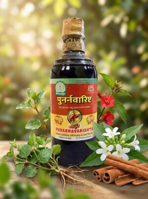 Punarnavadyarishta 450ml