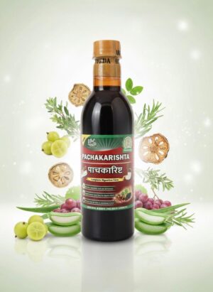 Pachkarishta 400ml
